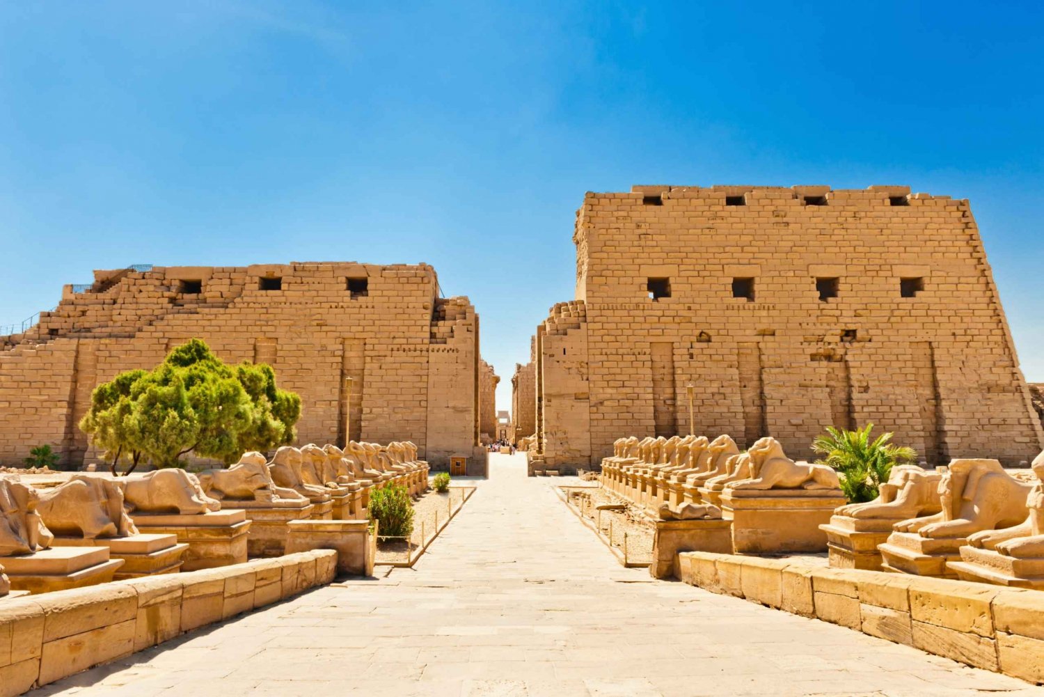 TOURS GUIADOS EXCLUSIVOS EN EGIPTO